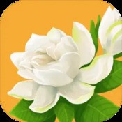 梦幻契约